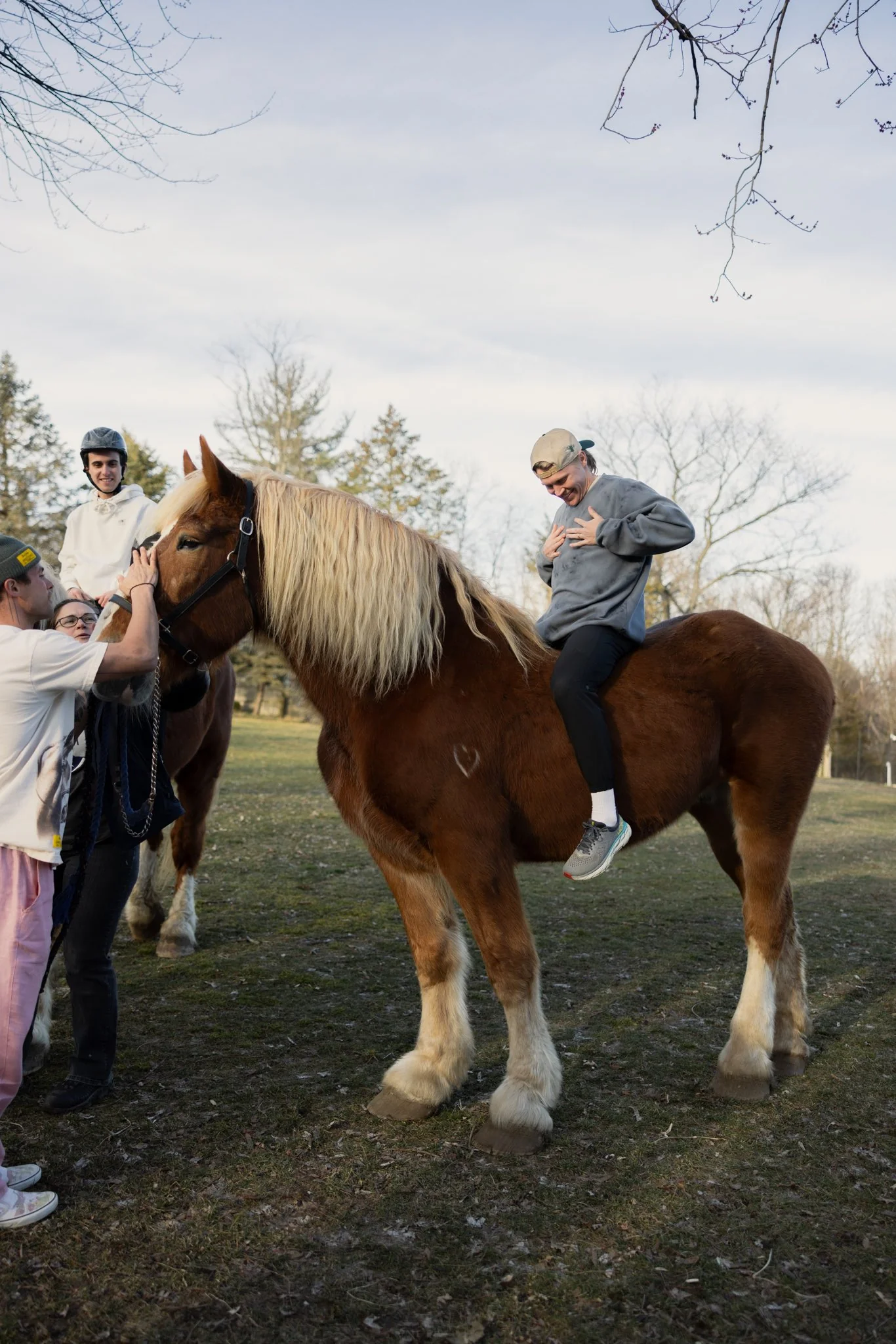 Farm Day Experience + Personalized Massage - Image 20
