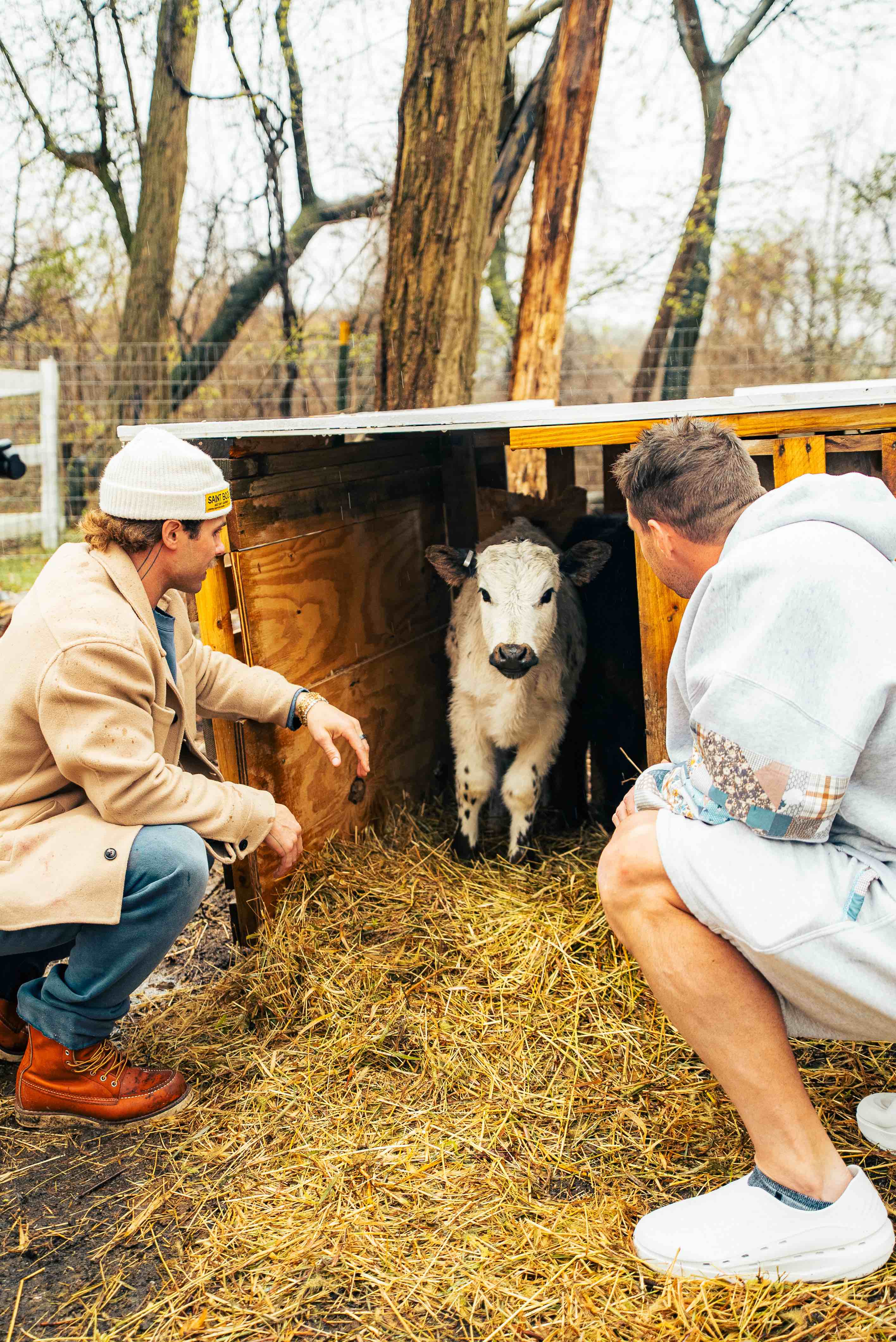 Farm Day Pass - Image 3