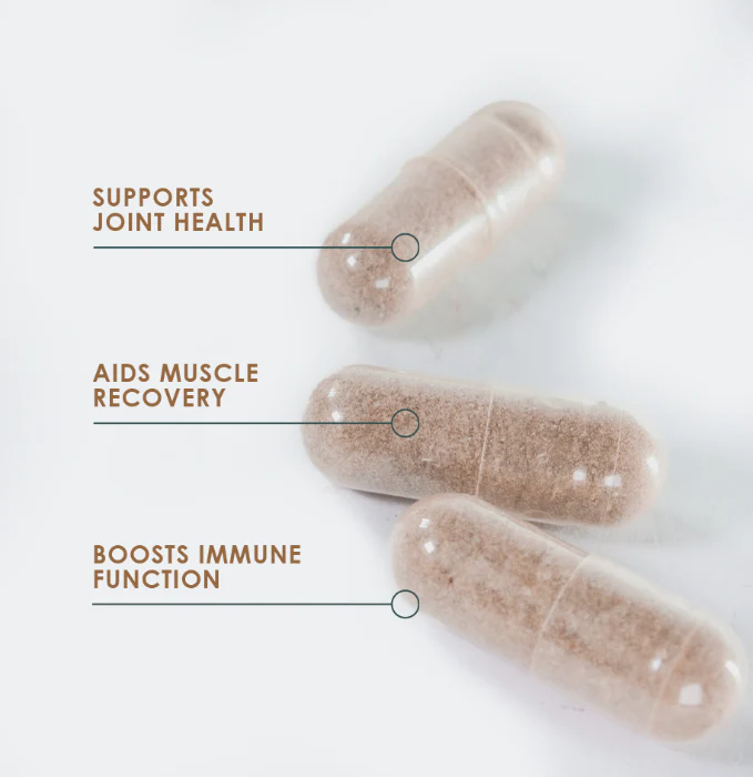 Velvet Antler Capsules - Image 2